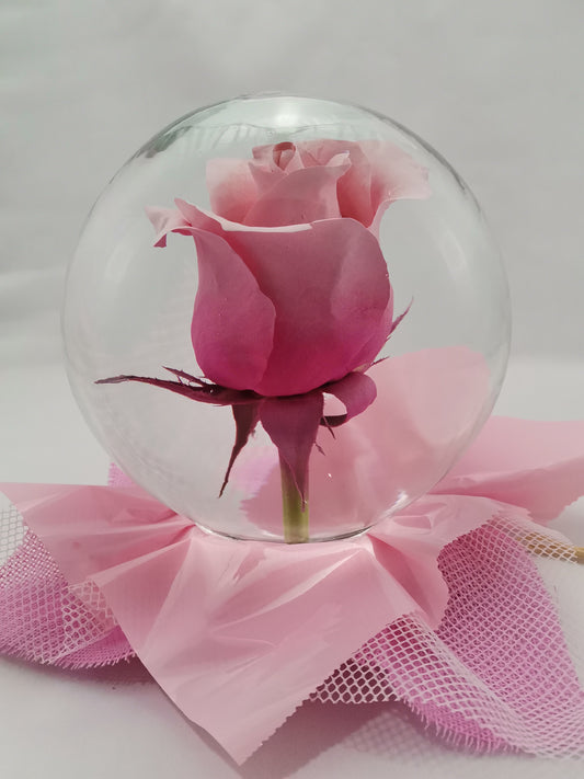 Rose Glass Bubble Pink